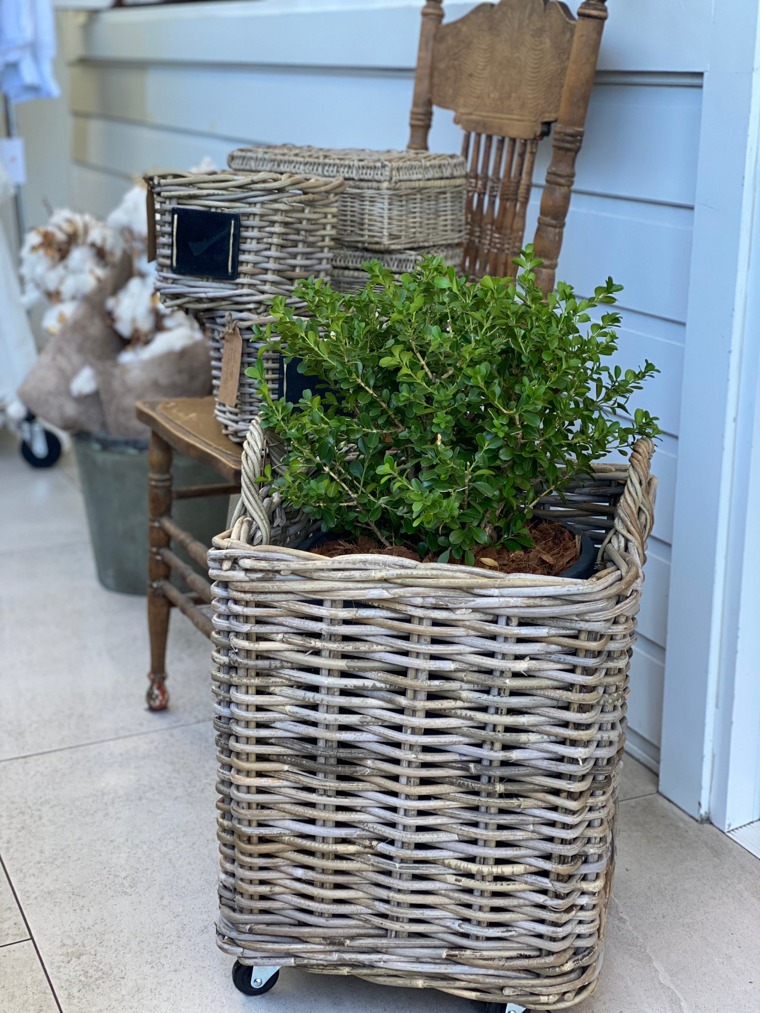 Square Storage Rattan Basket on Wheels Three Sizes Three Donkeys